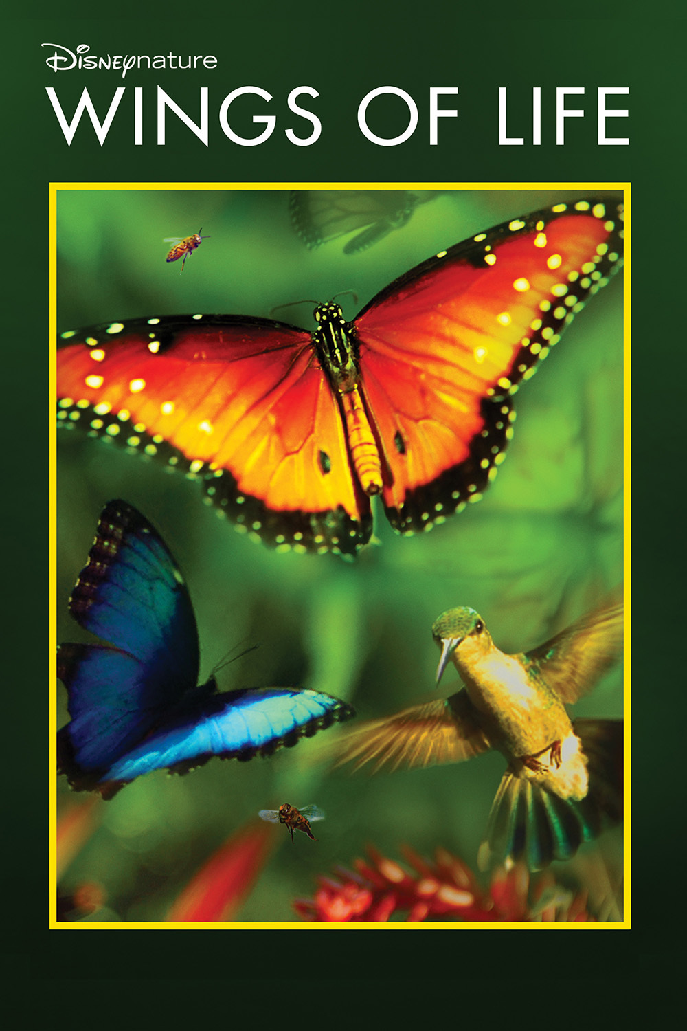 دانلود دوبله فارسی مستند بال های زندگی Disneynature: Wings of Life 2011