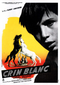 دانلود فیلم White Mane  1953