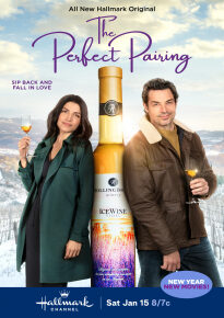 دانلود movie The Perfect Pairing 2022