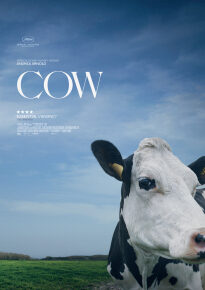 دانلود movie Cow 2021