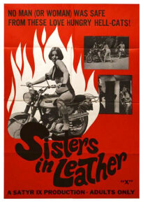 دانلود movie Sisters in Leather 1969